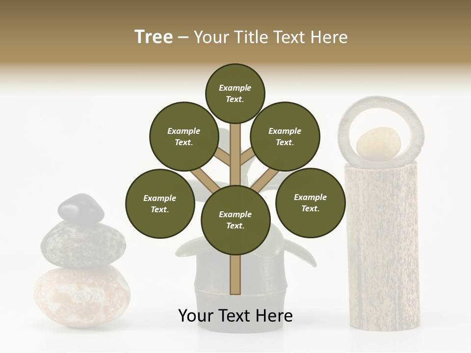 Studio Charming Shoulder PowerPoint Template