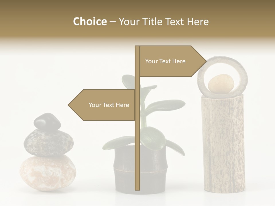 Studio Charming Shoulder PowerPoint Template