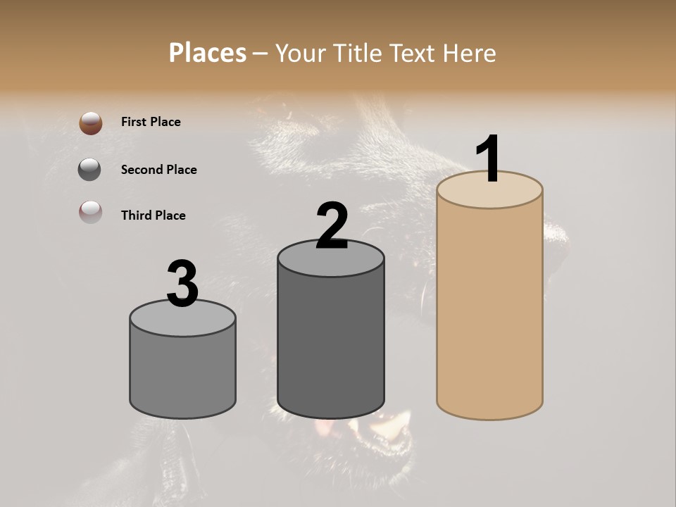 Funny Canine Shiny PowerPoint Template