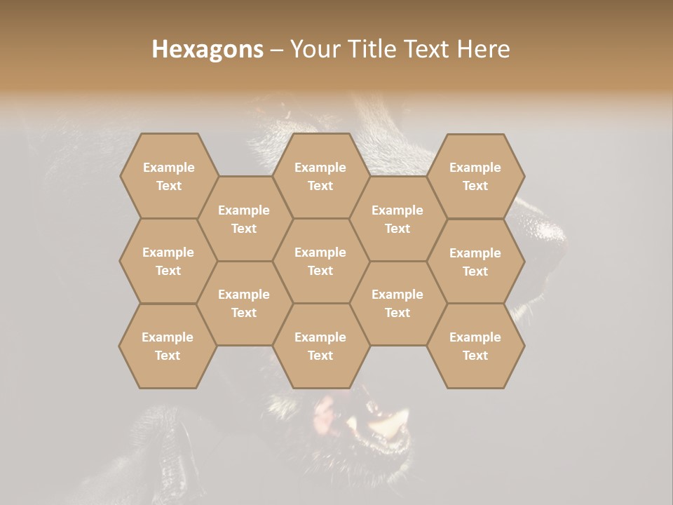 Funny Canine Shiny PowerPoint Template