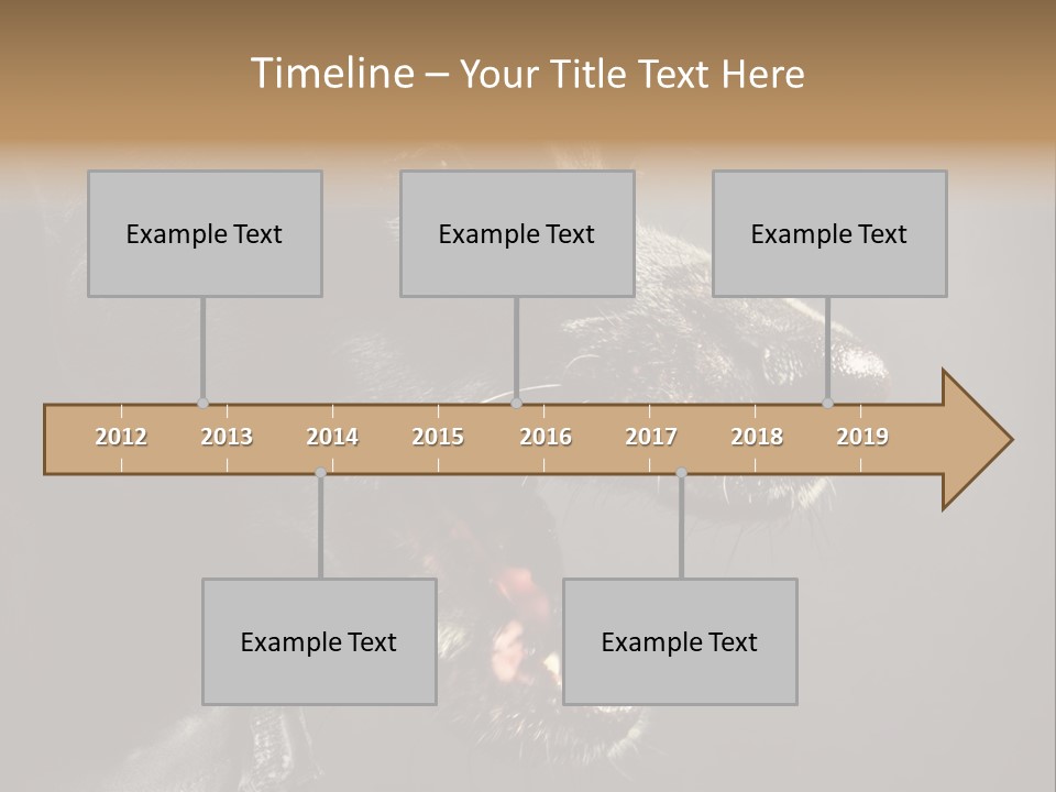 Funny Canine Shiny PowerPoint Template