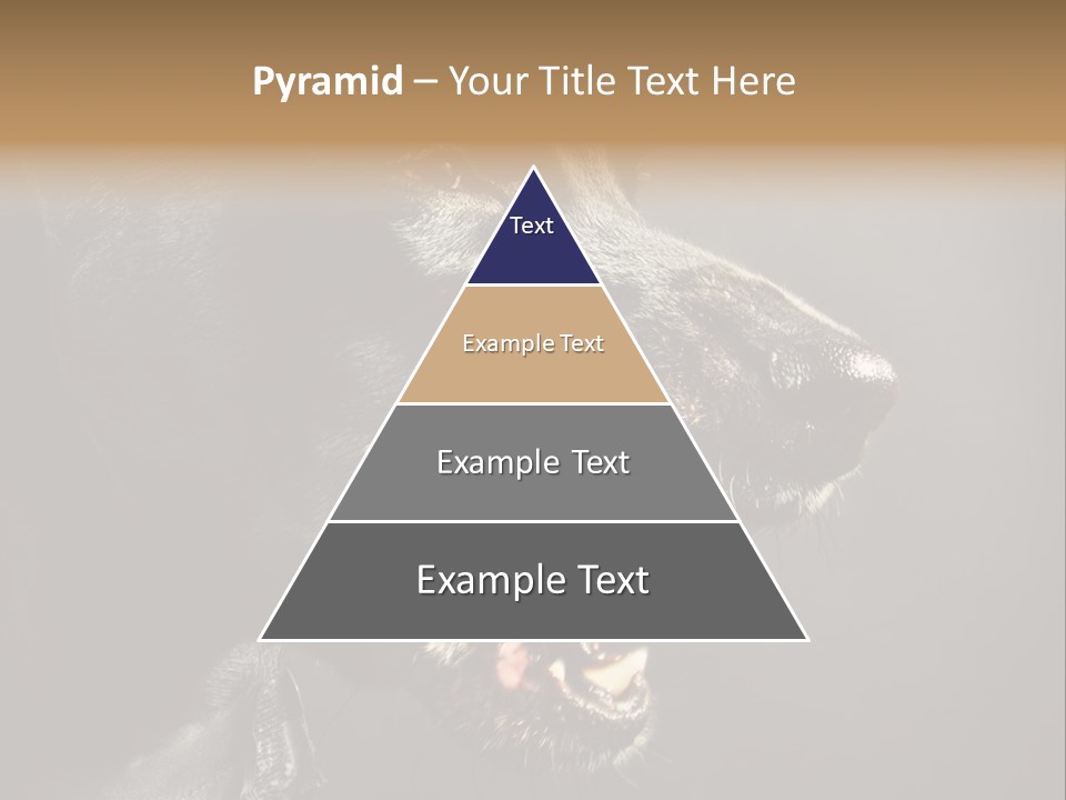 Funny Canine Shiny PowerPoint Template
