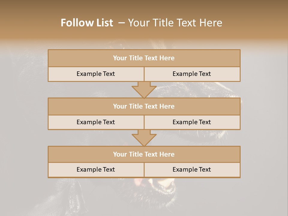 Funny Canine Shiny PowerPoint Template