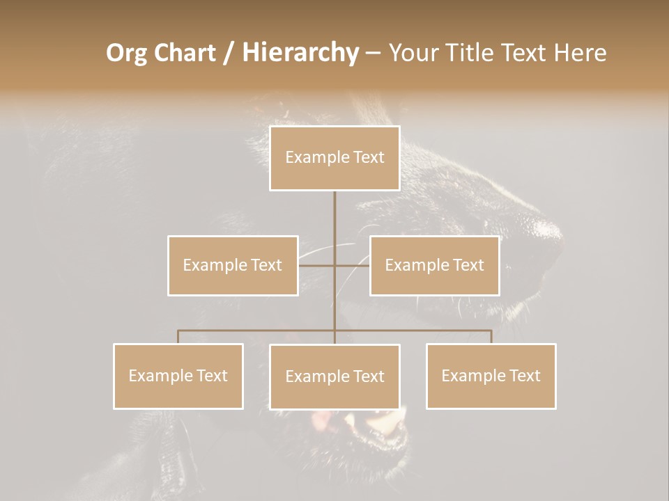 Funny Canine Shiny PowerPoint Template