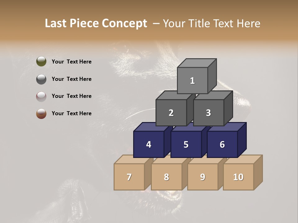 Funny Canine Shiny PowerPoint Template