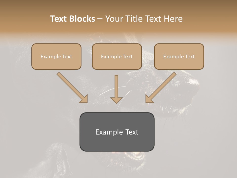 Funny Canine Shiny PowerPoint Template