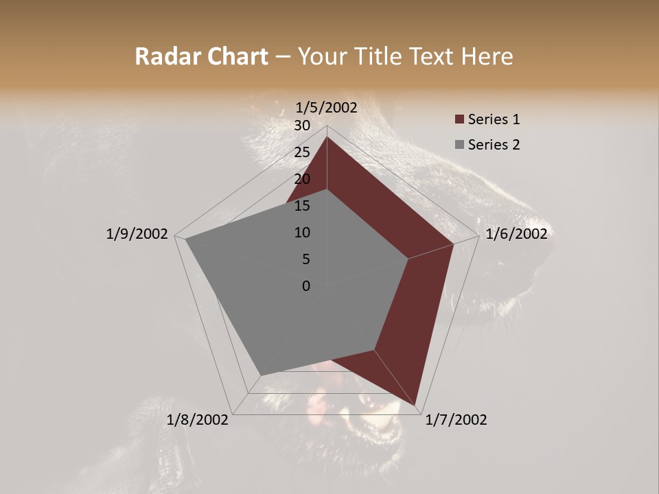 Funny Canine Shiny PowerPoint Template