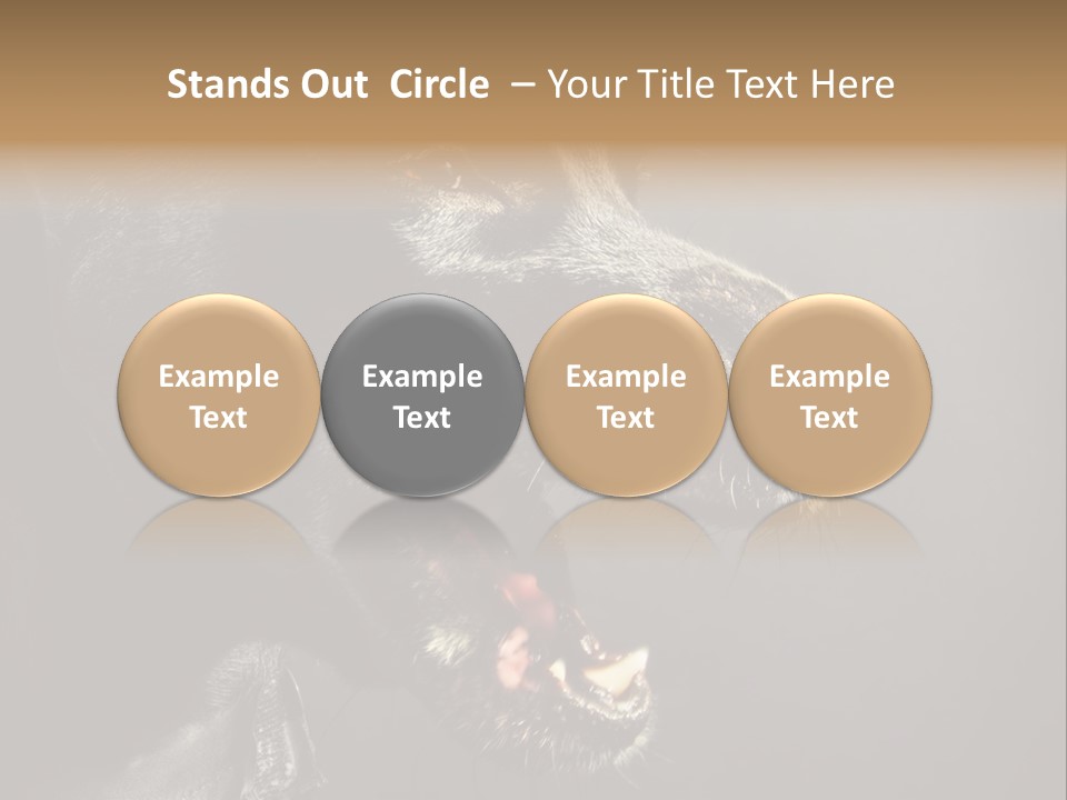 Funny Canine Shiny PowerPoint Template