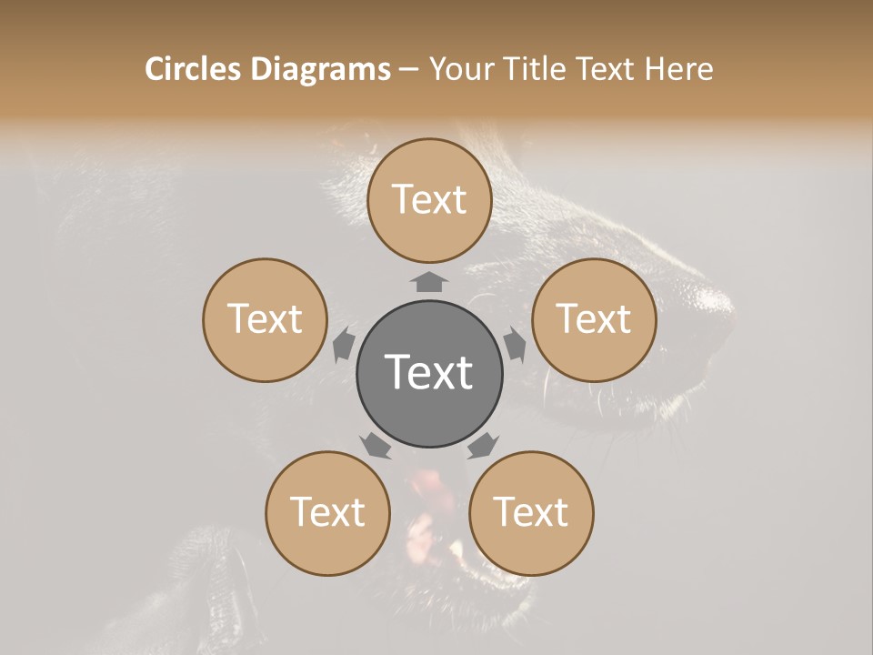 Funny Canine Shiny PowerPoint Template