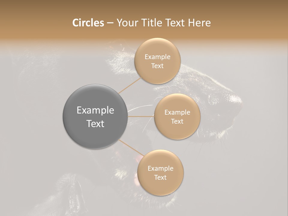 Funny Canine Shiny PowerPoint Template