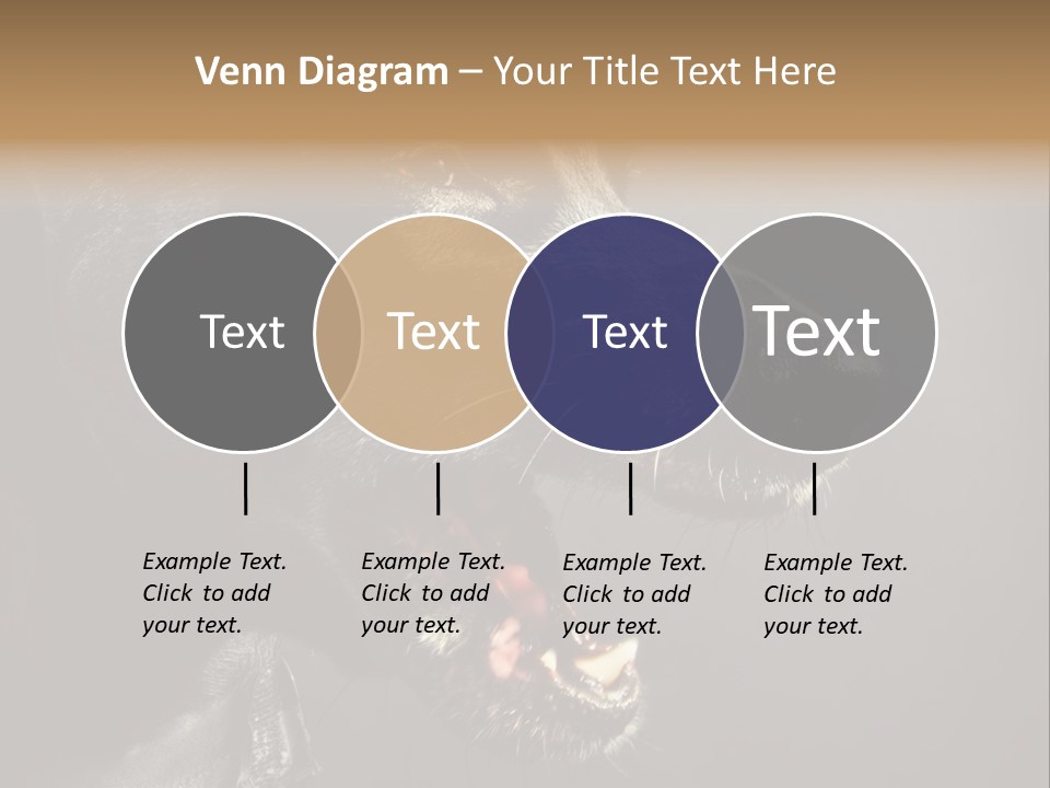 Funny Canine Shiny PowerPoint Template