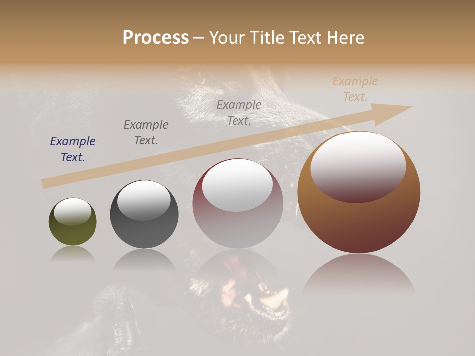 Funny Canine Shiny PowerPoint Template