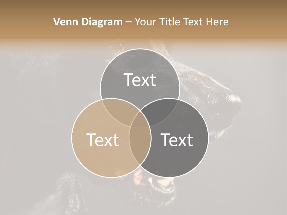 Funny Canine Shiny PowerPoint Template