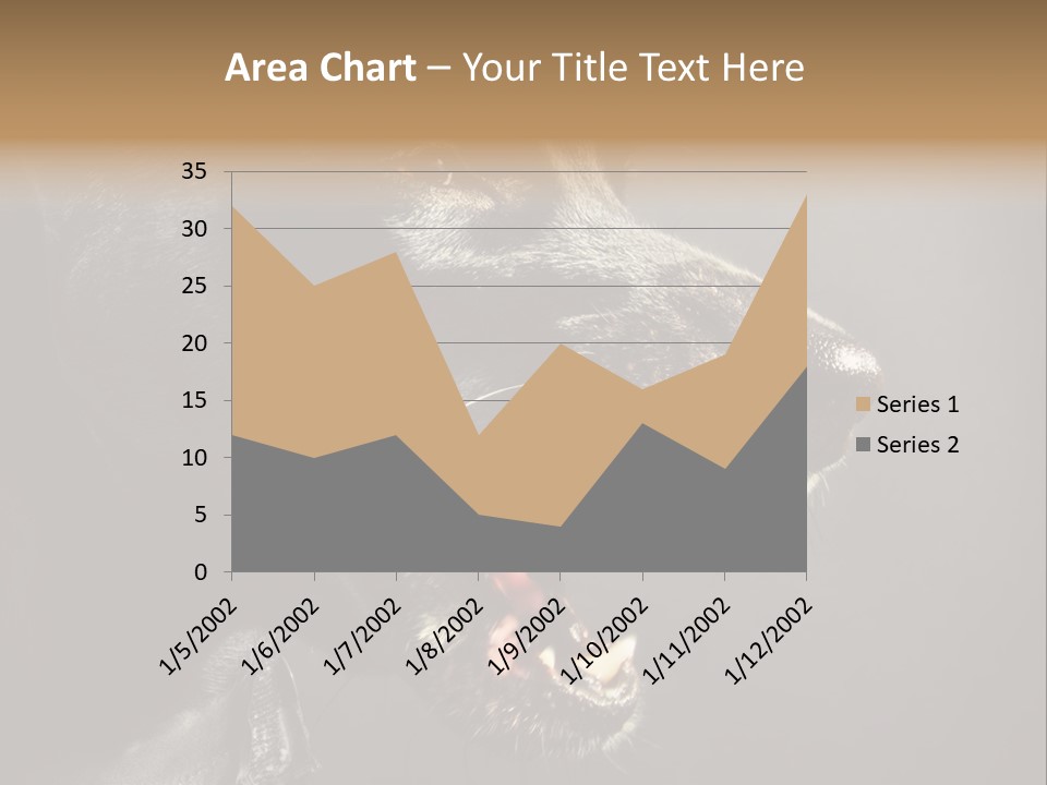 Funny Canine Shiny PowerPoint Template