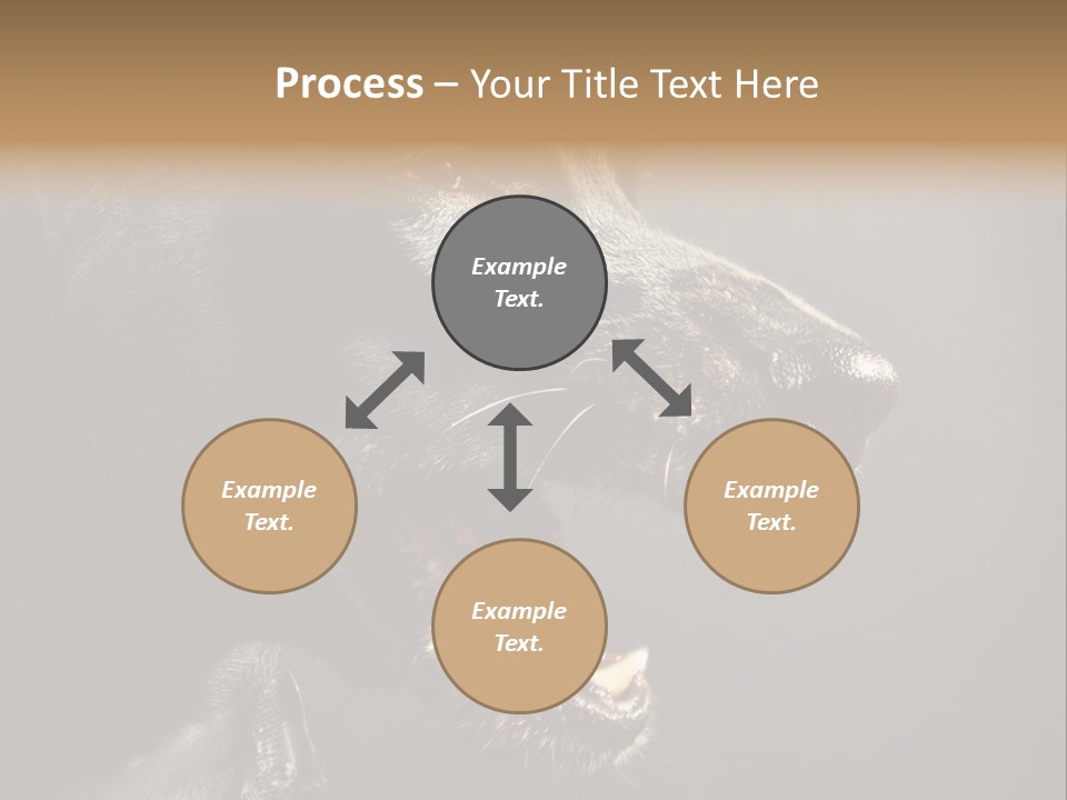 Funny Canine Shiny PowerPoint Template