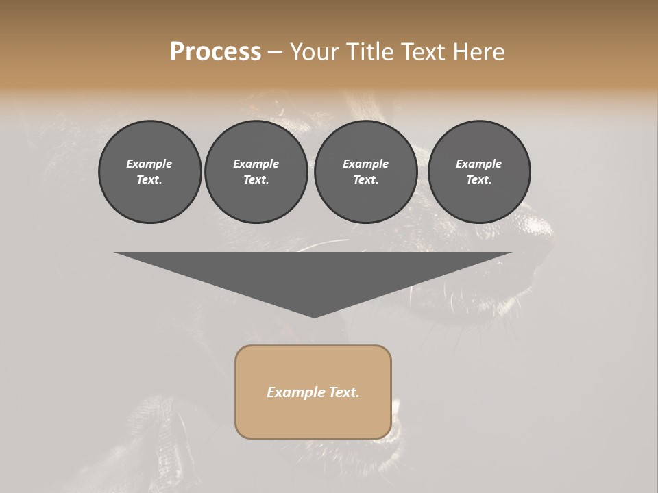 Funny Canine Shiny PowerPoint Template