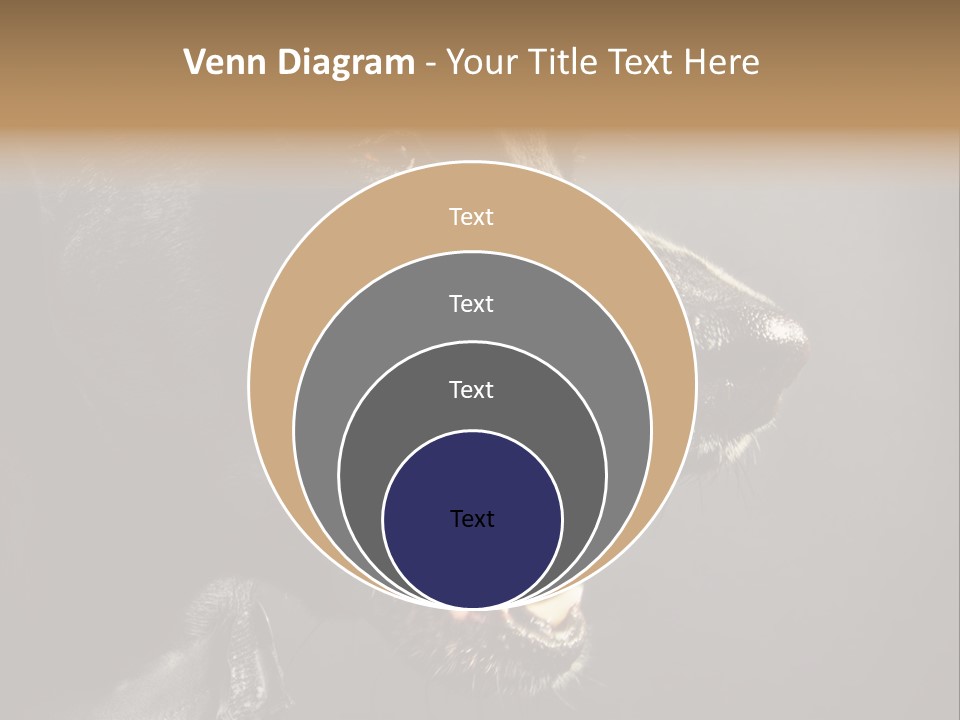 Funny Canine Shiny PowerPoint Template