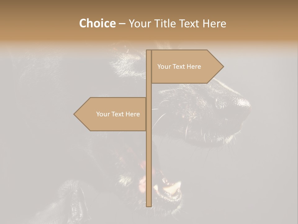 Funny Canine Shiny PowerPoint Template