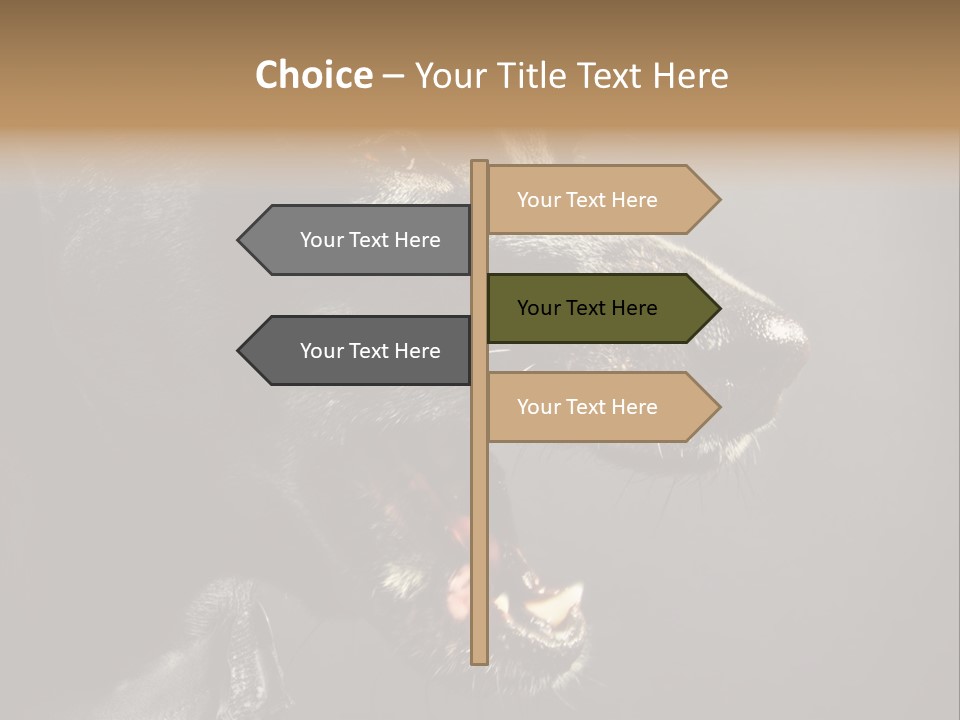 Funny Canine Shiny PowerPoint Template