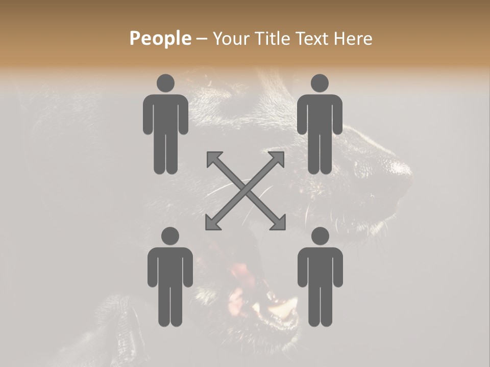 Funny Canine Shiny PowerPoint Template