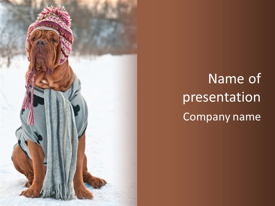 Pedigree Contact Outdoor PowerPoint Template