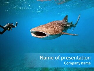 Fish Sea Diving PowerPoint Template