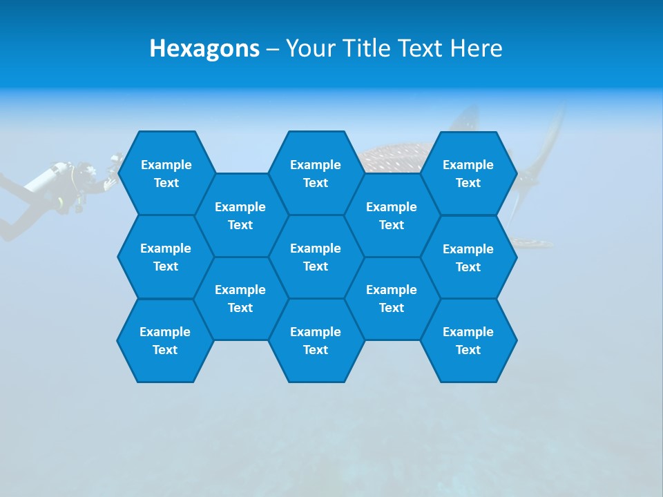 Fish Sea Diving PowerPoint Template