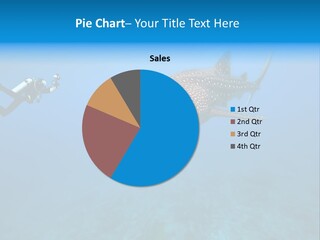 Fish Sea Diving PowerPoint Template