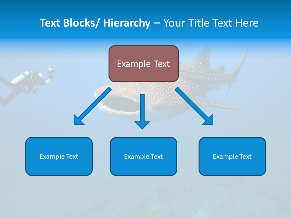 Fish Sea Diving PowerPoint Template