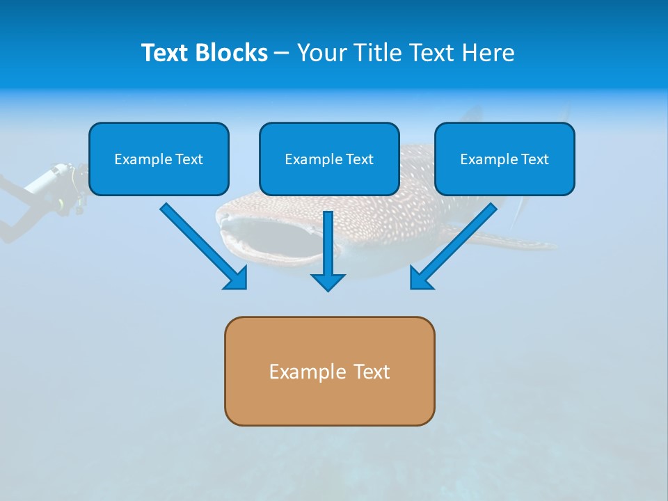 Fish Sea Diving PowerPoint Template
