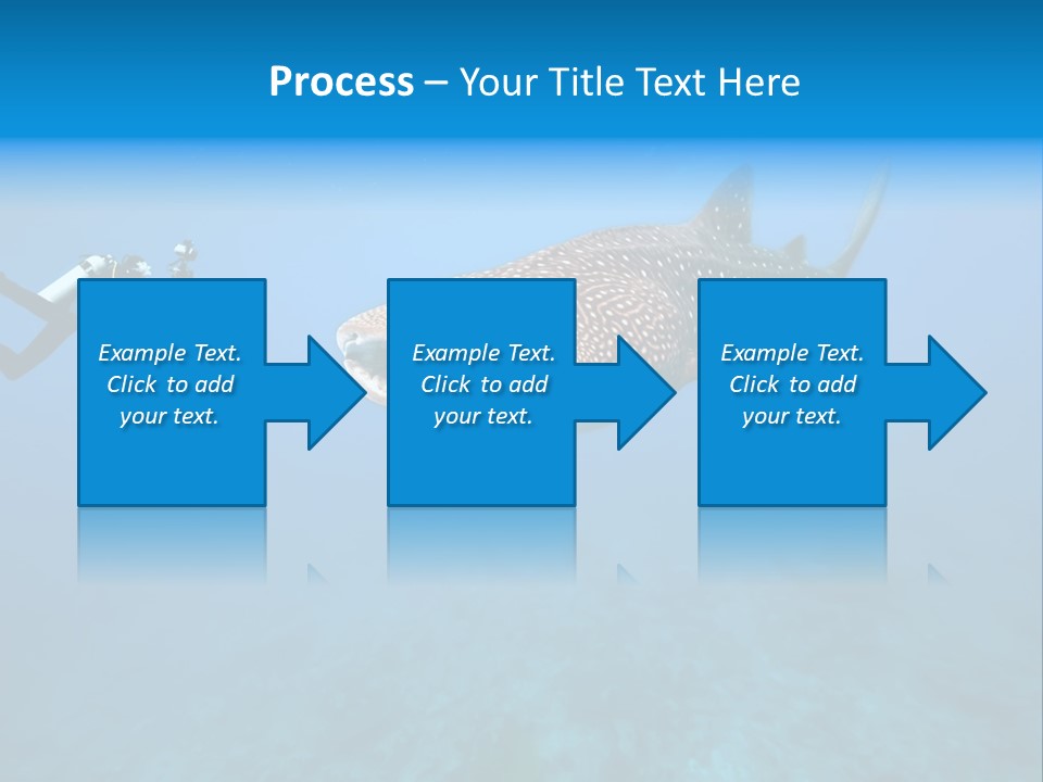 Fish Sea Diving PowerPoint Template