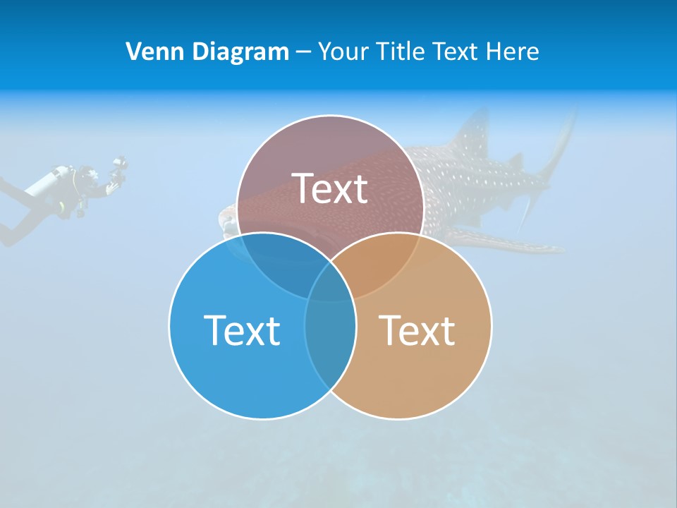 Fish Sea Diving PowerPoint Template