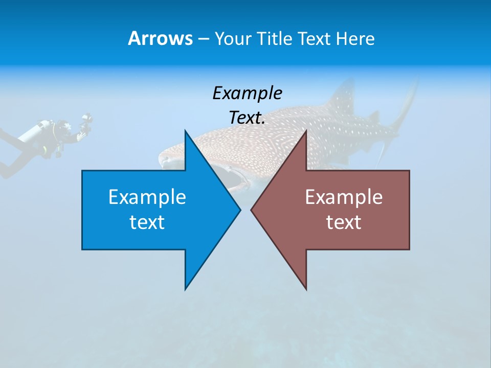 Fish Sea Diving PowerPoint Template