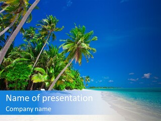 A Beach With Palm Trees And Blue Water PowerPoint Template