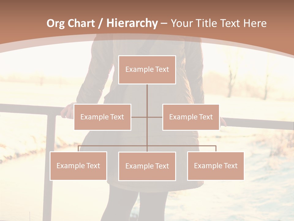 Sunlight Outdoors Tree PowerPoint Template