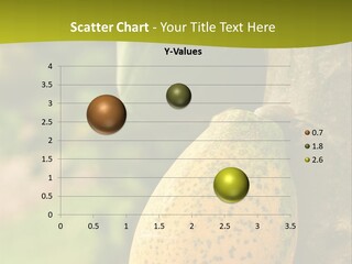 Closeup Tree Tropical PowerPoint Template