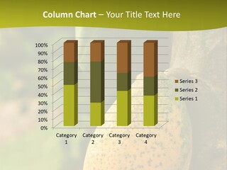 Closeup Tree Tropical PowerPoint Template