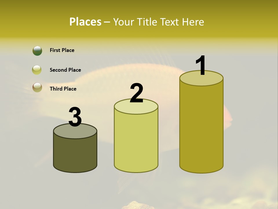 Aqua Altispinosus Green PowerPoint Template