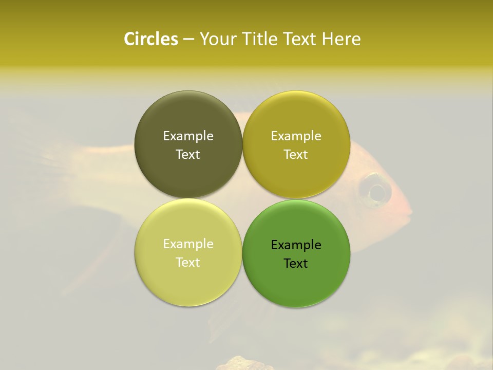 Aqua Altispinosus Green PowerPoint Template