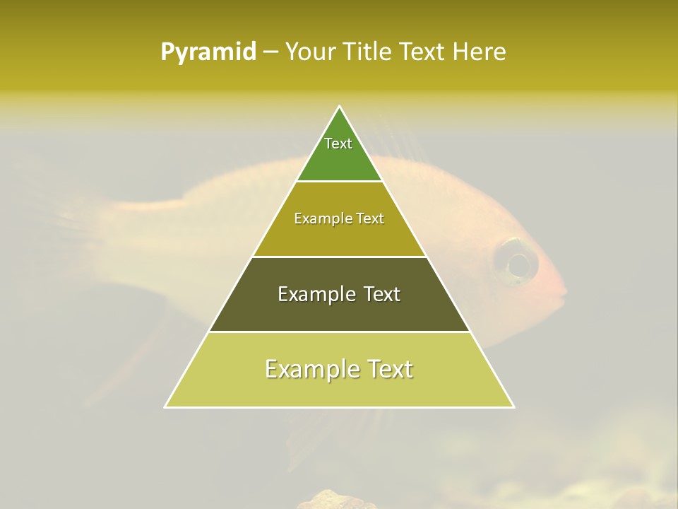 Aqua Altispinosus Green PowerPoint Template