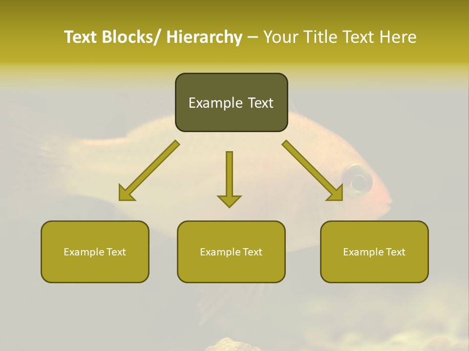Aqua Altispinosus Green PowerPoint Template