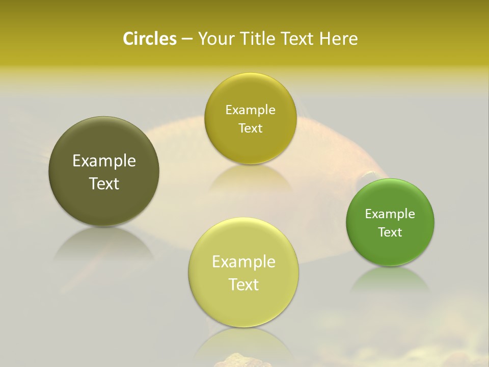 Aqua Altispinosus Green PowerPoint Template