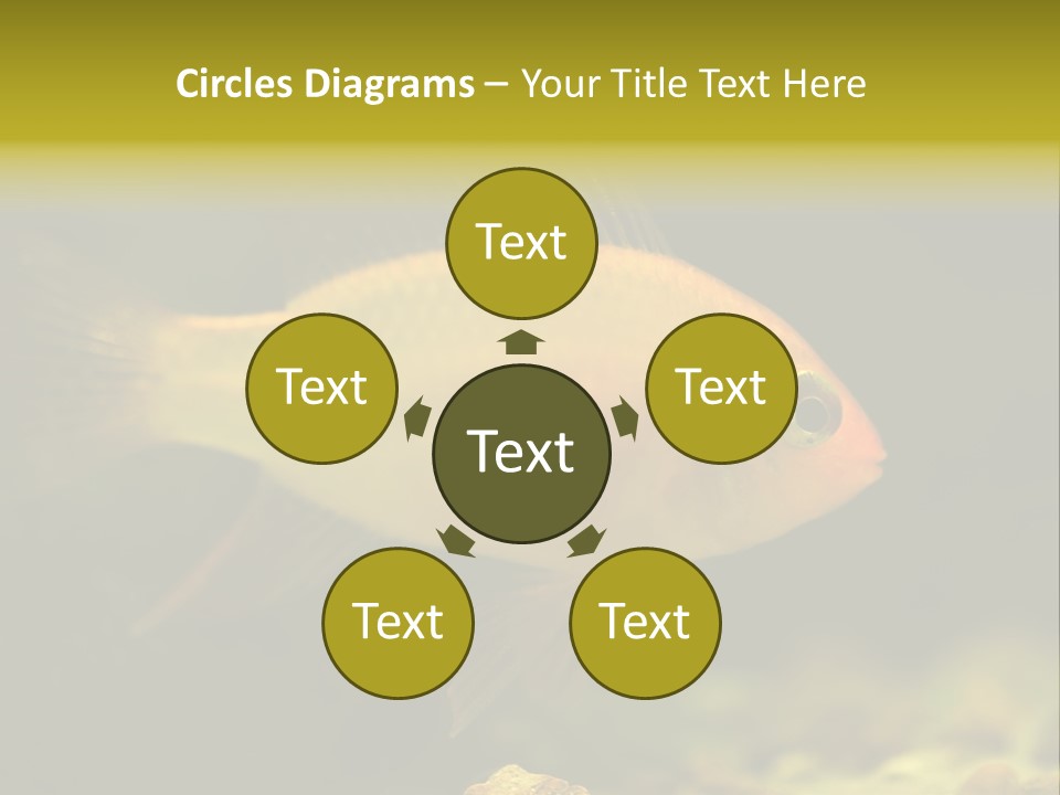 Aqua Altispinosus Green PowerPoint Template