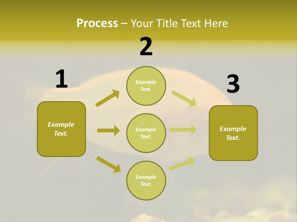Aqua Altispinosus Green PowerPoint Template