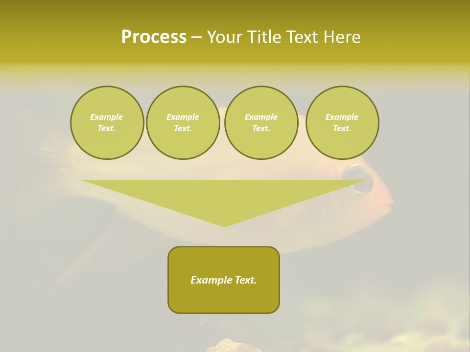 Aqua Altispinosus Green PowerPoint Template