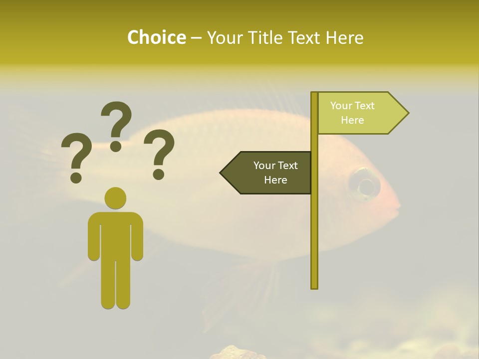 Aqua Altispinosus Green PowerPoint Template