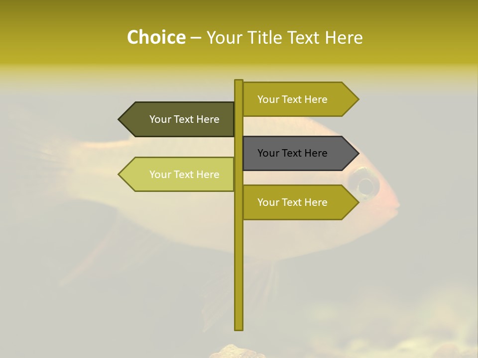 Aqua Altispinosus Green PowerPoint Template