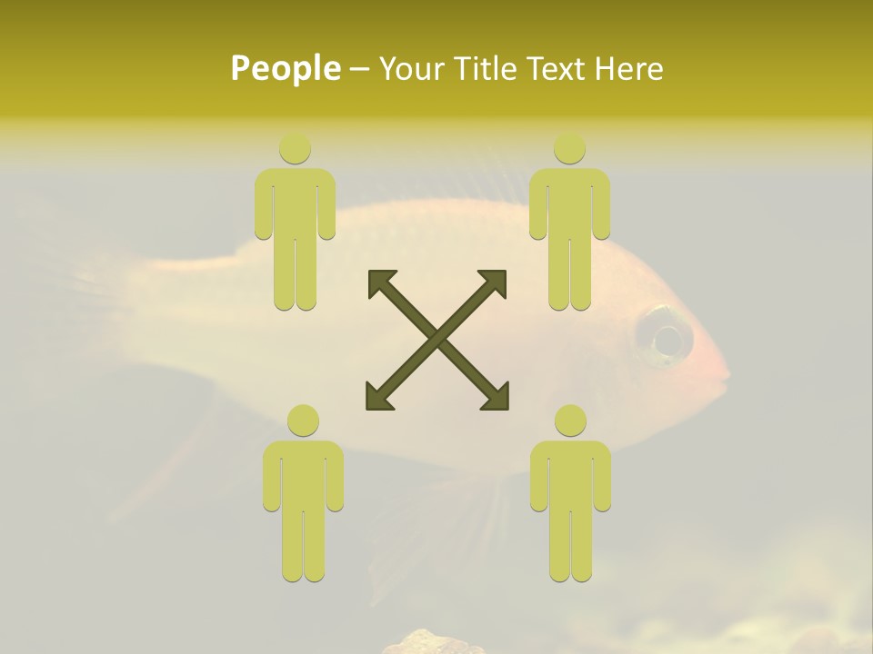 Aqua Altispinosus Green PowerPoint Template