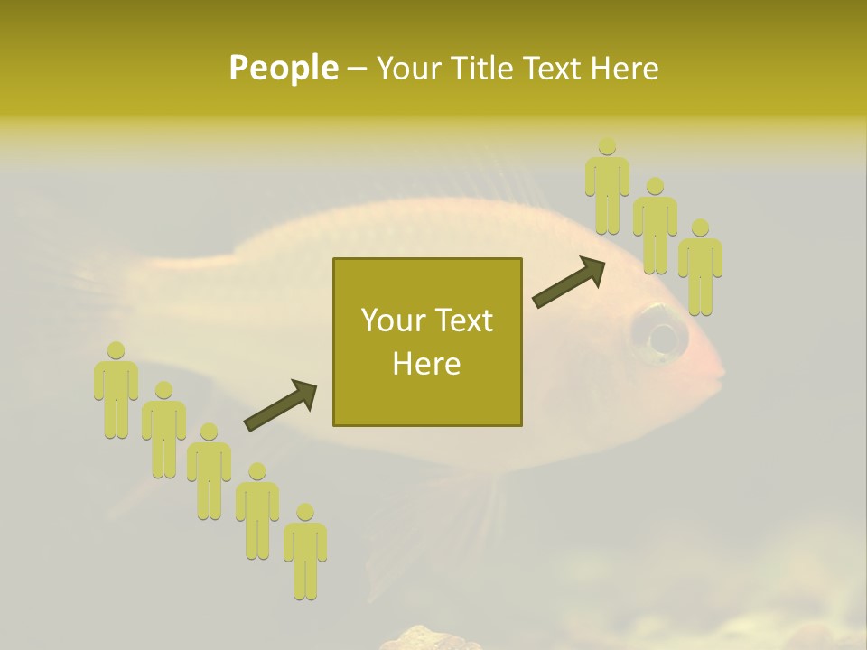 Aqua Altispinosus Green PowerPoint Template