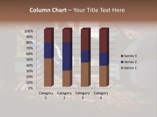 Female Male Domestic PowerPoint Template